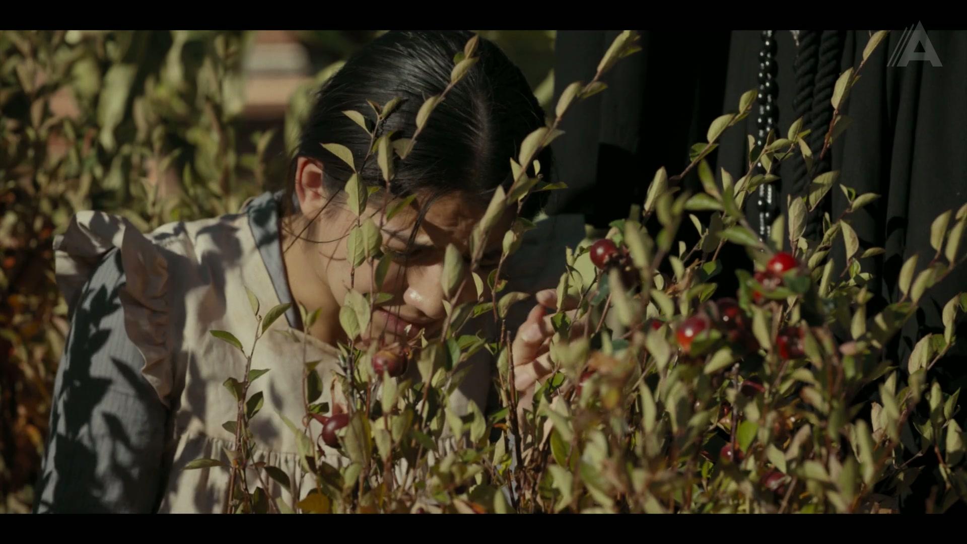 Сериал 1923 (2022) 1 сезон 4 эпизод