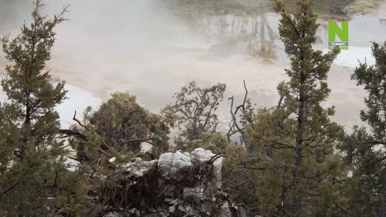 Фильм Йеллоустон: бомба с часовым механизмом (2022)