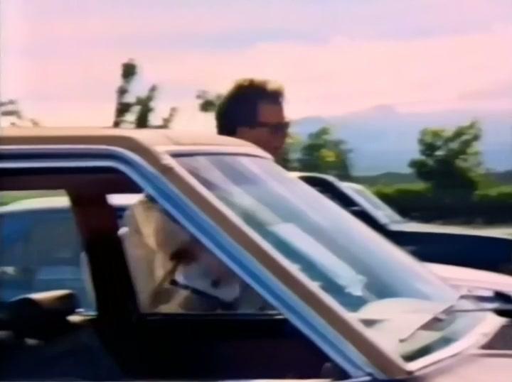 Фильм Жёсткая посадка (1990)