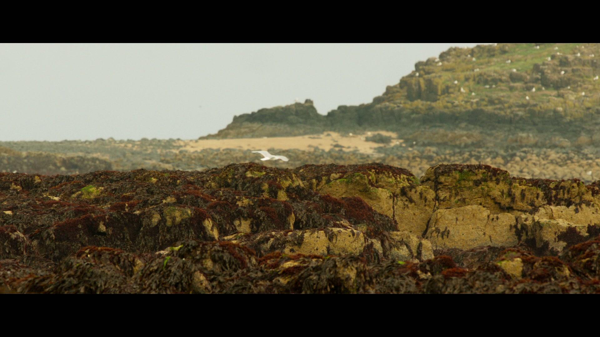 Фильм Черчилль (2017)