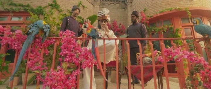 Фильм Год кота (2024)