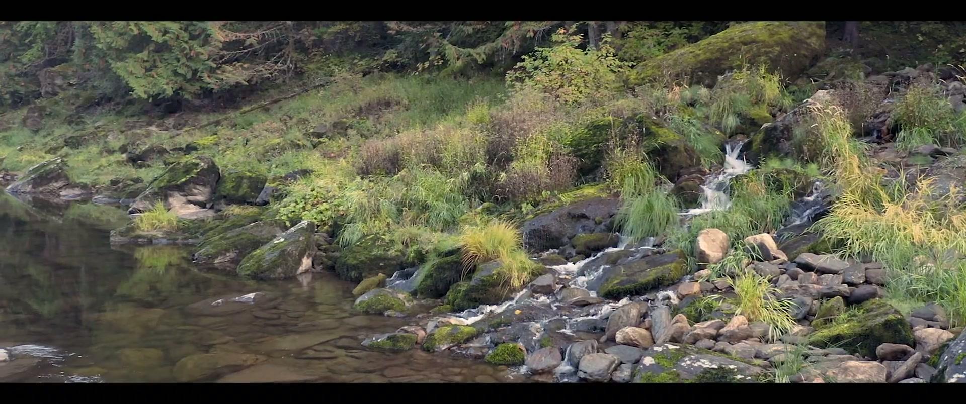 Фильм Потеряшка Джой (2025)