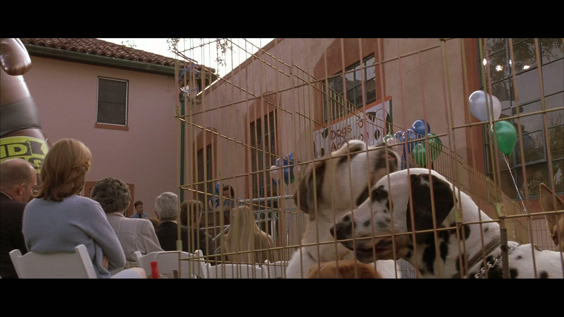 Фильм Другая сестра (1999)