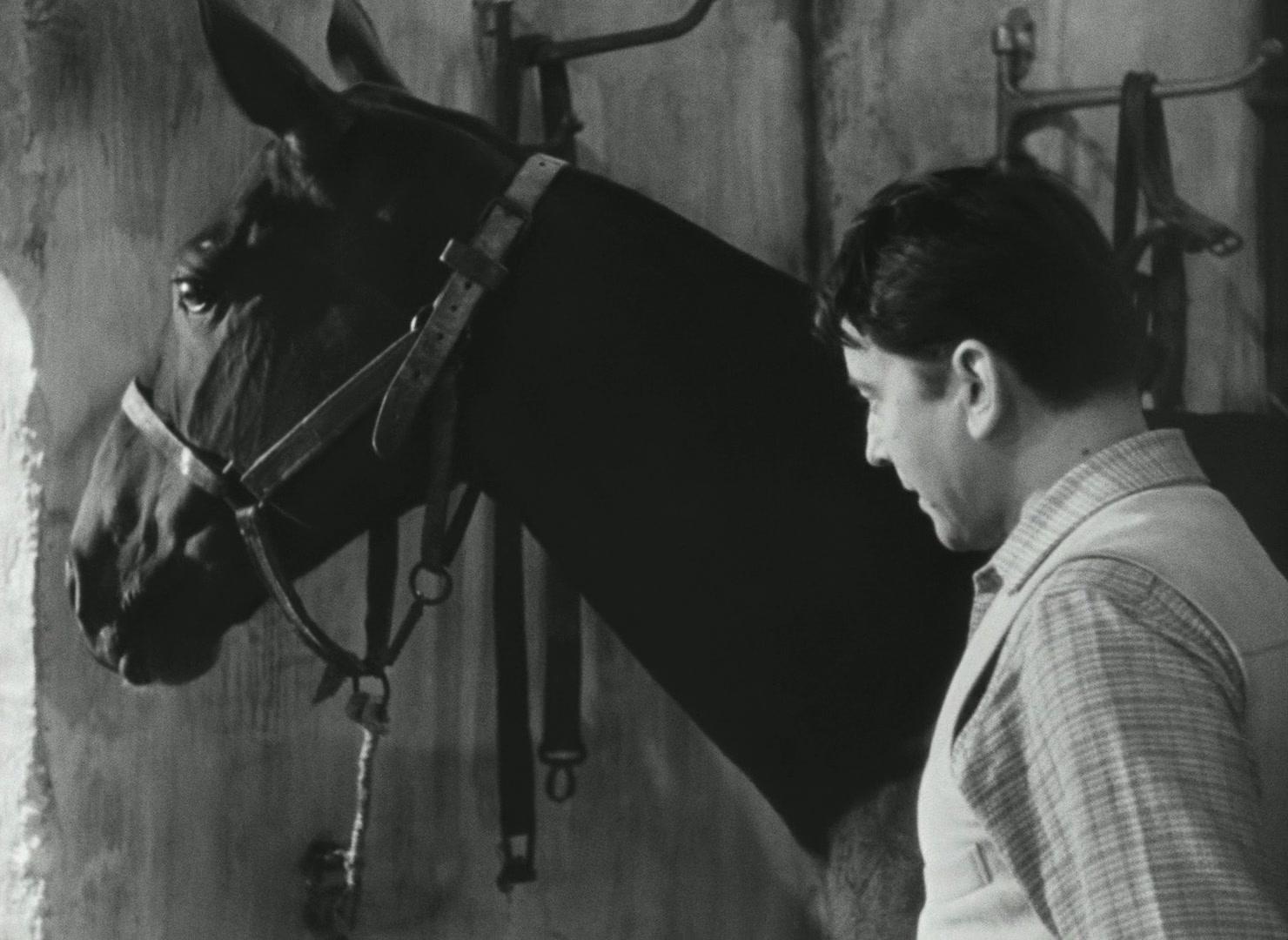 Фильм Белые лапки (1949)