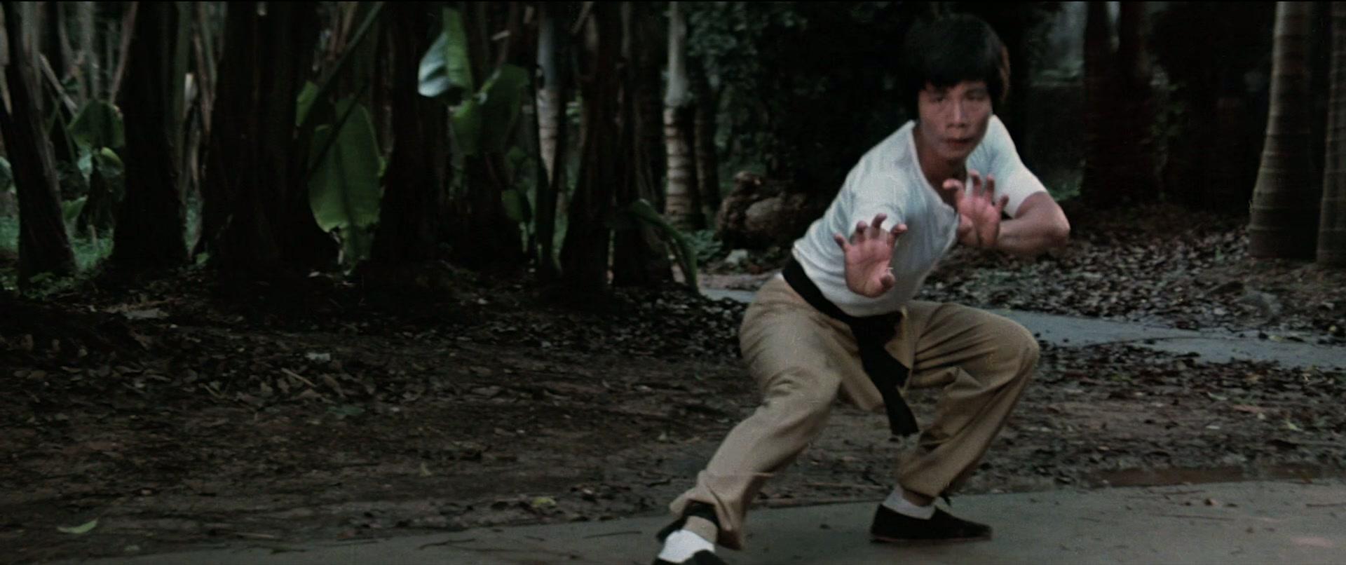 Фильм Дракон-герой (1979)