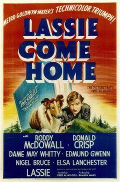 Фильм Лесси возвращается домой (1943)