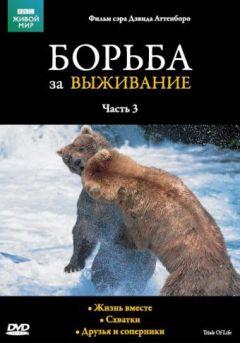 Сериал BBC: Борьба за выживание (1990)
