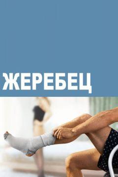 Сериал Жеребец (2009)