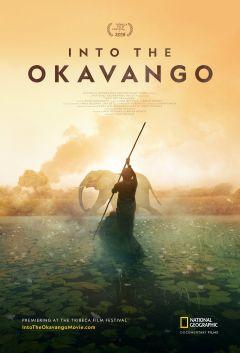 Фильм Далеко в Окаванго (2018)
