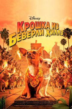 Фильм Крошка из Беверли-Хиллз (2008)