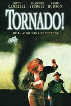 Фильм Торнадо (1996)