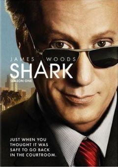 Сериал Акула (2006)