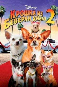 Фильм Крошка из Беверли-Хиллз 2 (2010)