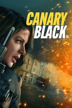 Фильм Досье «Чёрная канарейка» (2024)