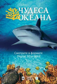 Фильм Чудеса океана 3D (2003)
