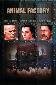 Фильм Зверофабрика (2000)
