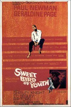 Фильм Сладкоголосая птица юности (1962)