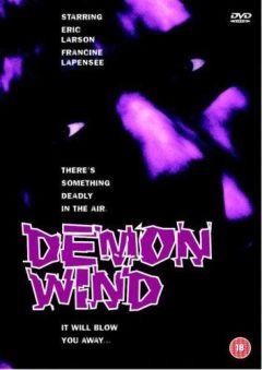 Фильм Ветер демонов (1990)