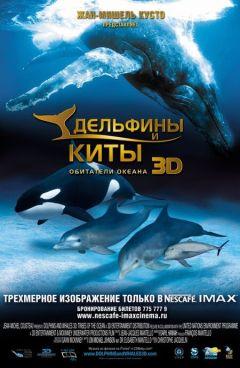 Фильм Дельфины и киты 3D (2008)