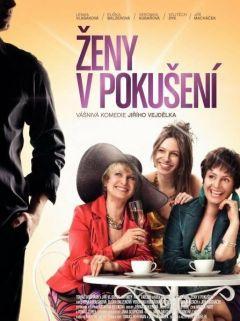 Фильм Женщины в соблазне (2010)