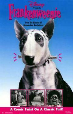 Фильм Франкенвини (1984)