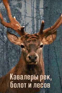 Фильм Кавалеры рек, болот и лесов (2012)