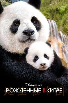 Фильм Рождённые в Китае (2016)