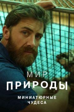 Фильм Мир природы. Миниатюрные чудеса (2017)