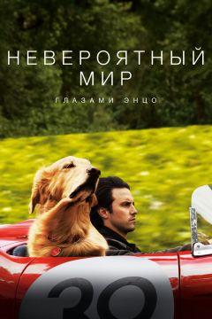 Фильм Невероятный мир глазами Энцо (2019)