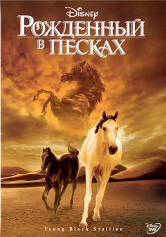Фильм Рожденный в песках (2003)