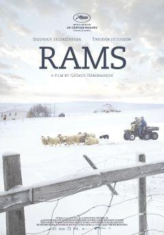 Фильм Бараны (2015)