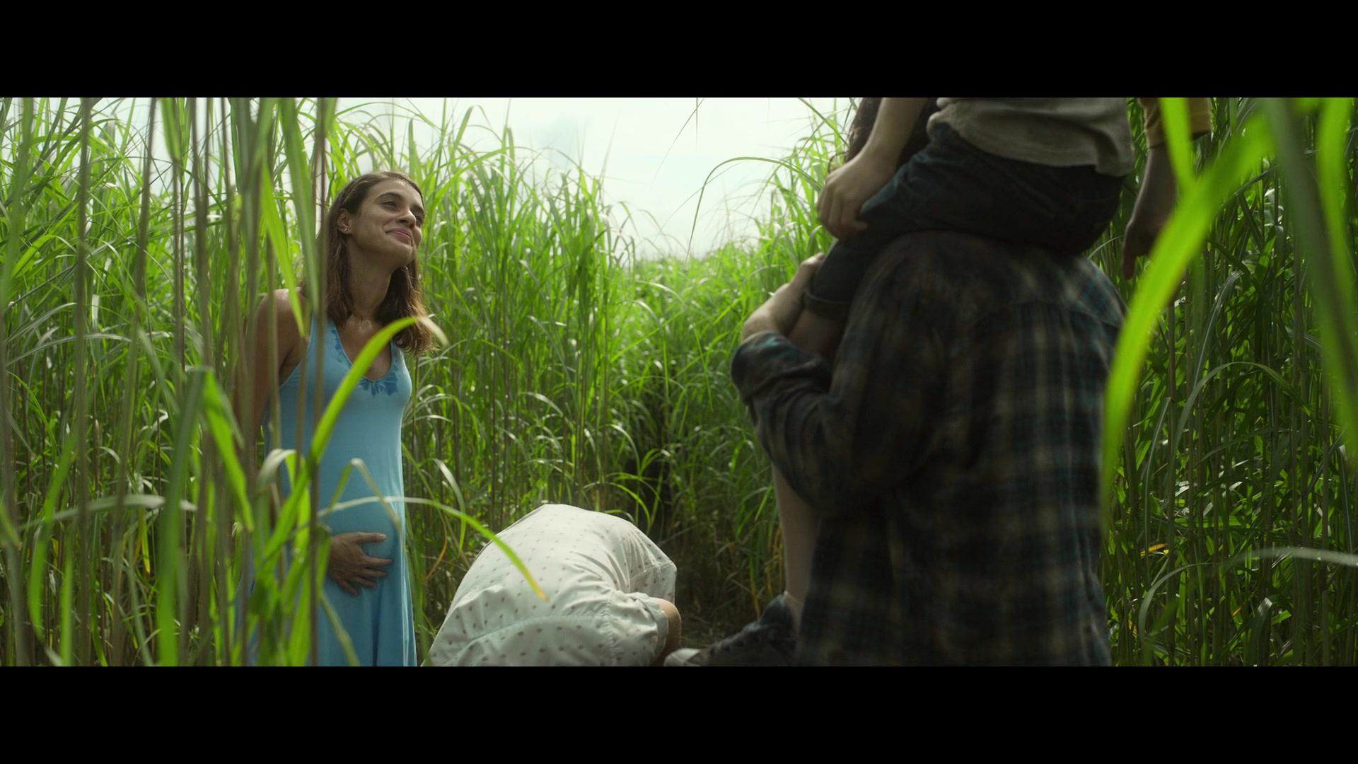 Фильм Высокая зелёная трава (2019)