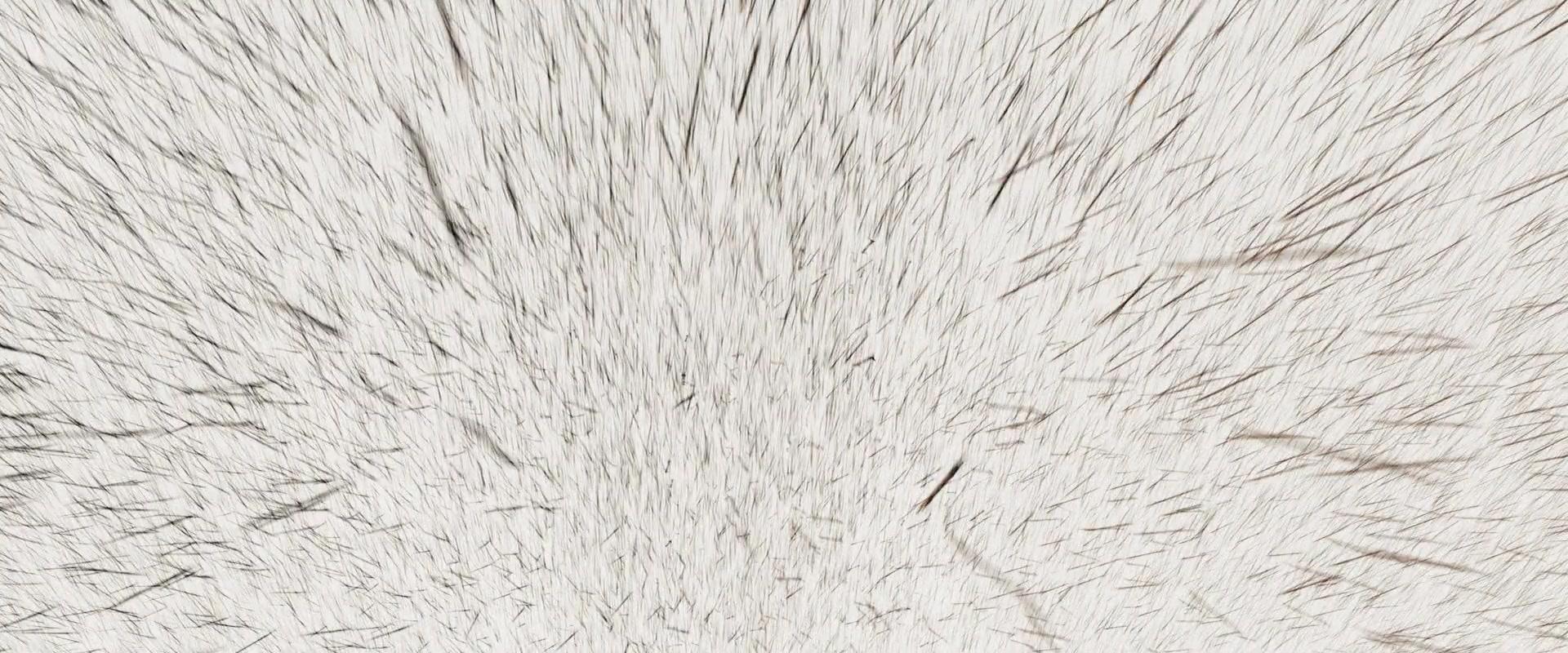 Фильм Мумия: Гробница императора драконов (2008)