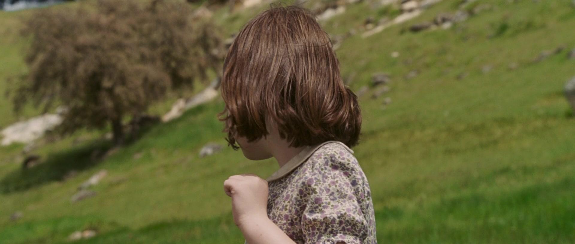 Фильм Хроники Нарнии: Лев, колдунья и волшебный шкаф (2005)