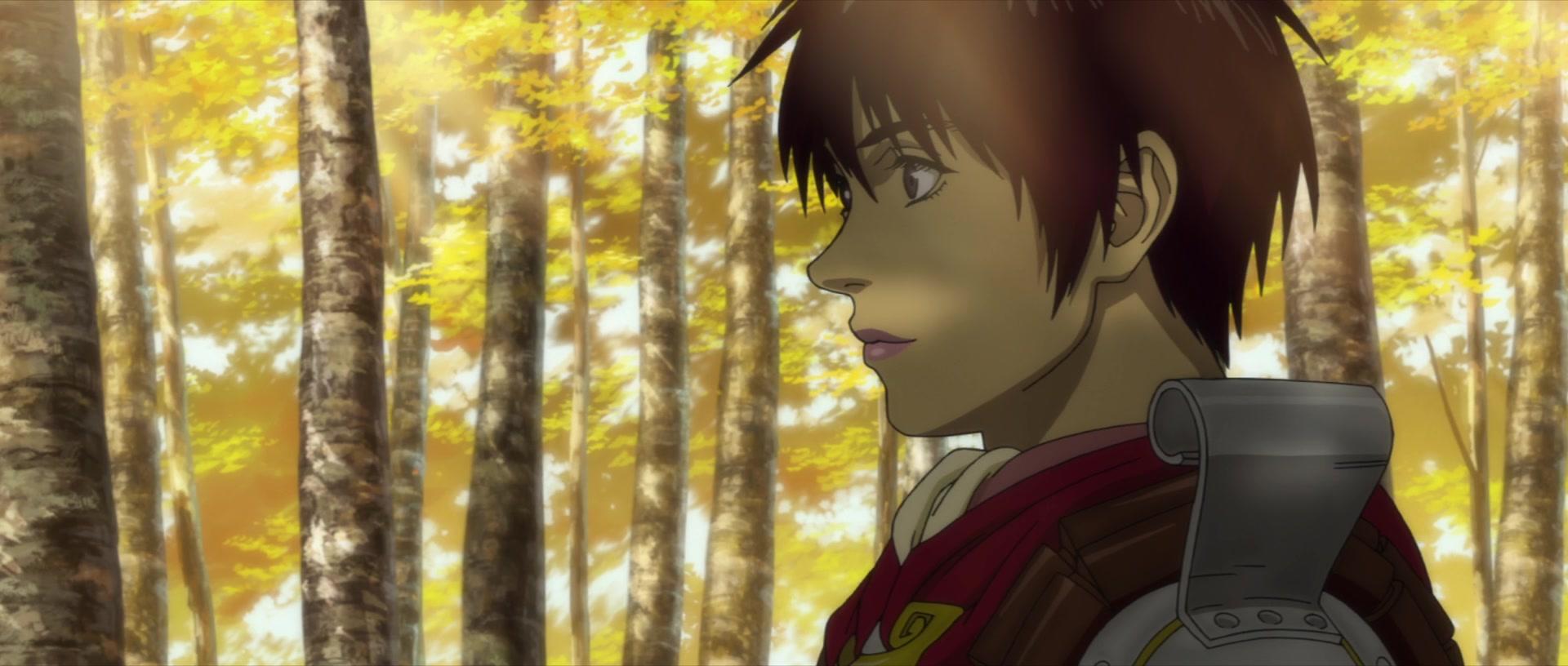 Фильм Берсерк. Золотой век: Фильм III. Сошествие (2013)