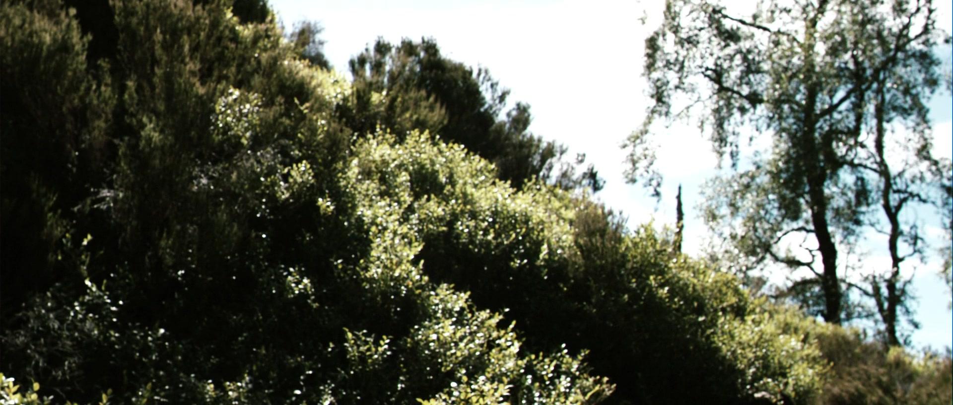 Фильм Вальгалла: Сага о викинге (2009)