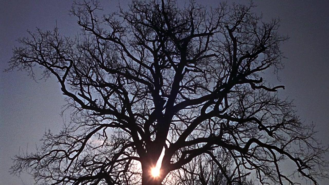 Фильм Человек на все времена (1966)