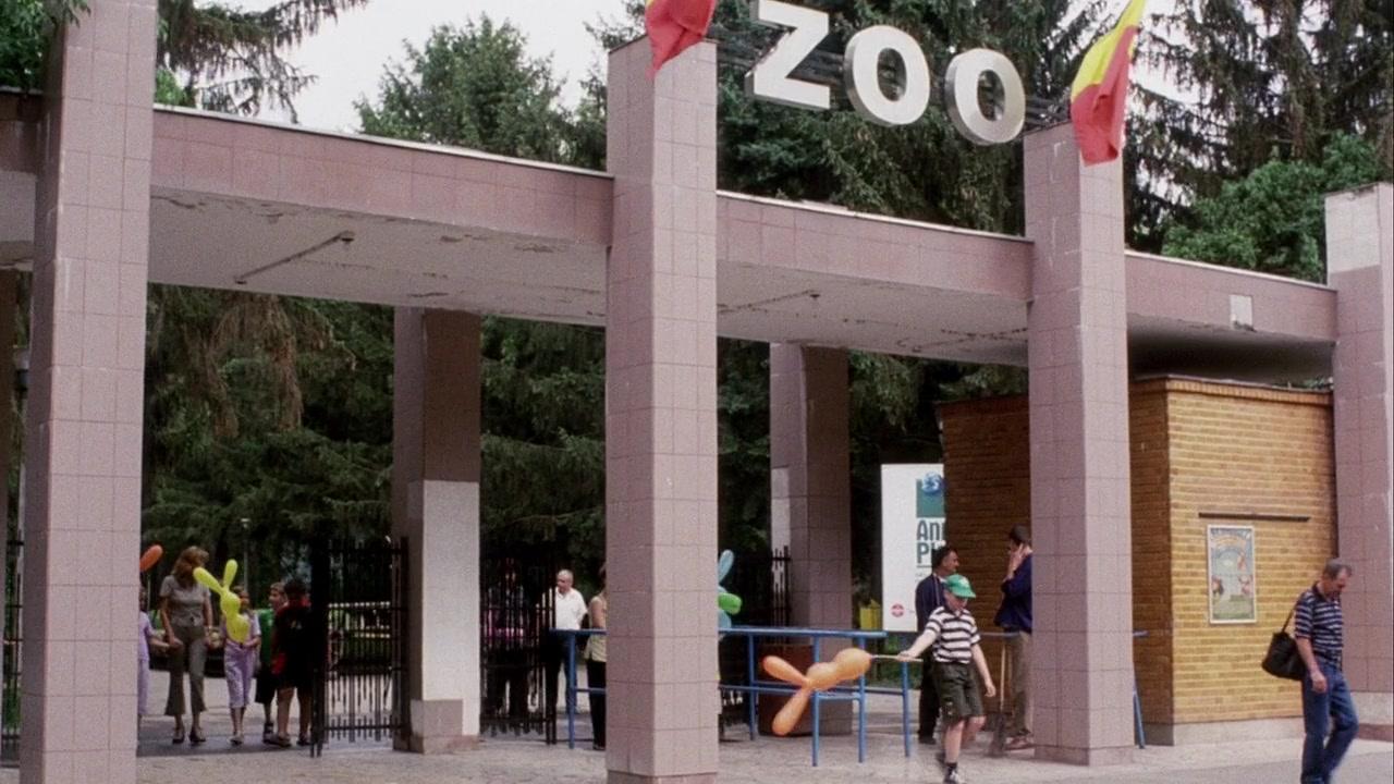 Фильм Гаргульи (2004)