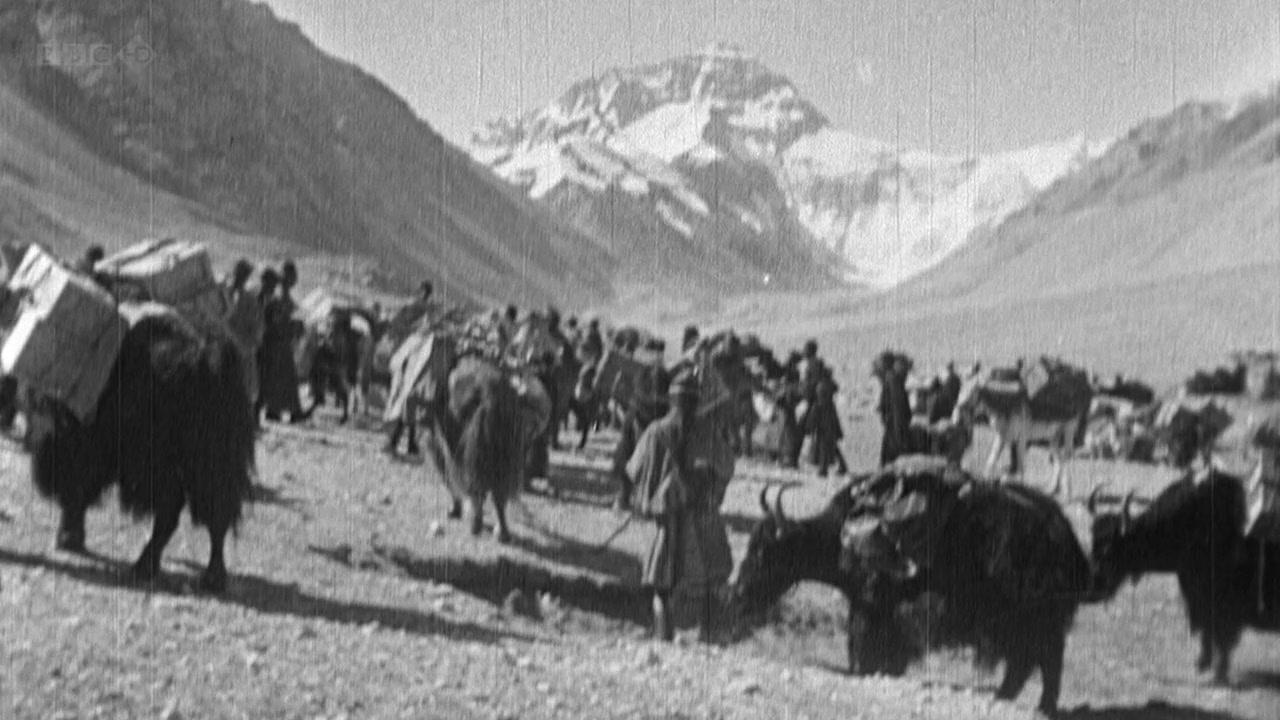 Фильм Самая дикая мечта (2010)