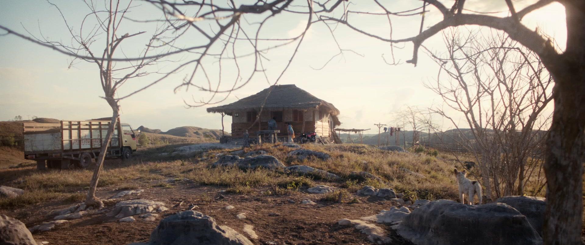 Фильм Марлина, убийца в четырёх актах (2017)