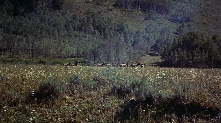 Фильм Далекие горизонты (1955)