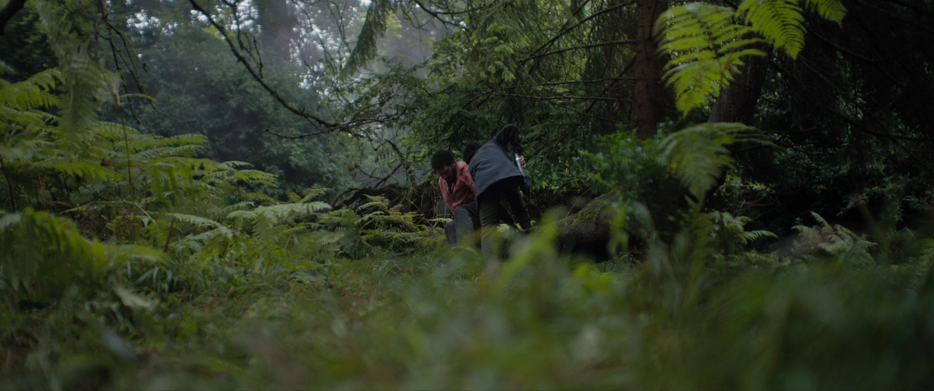 Фильм В земле (2021)