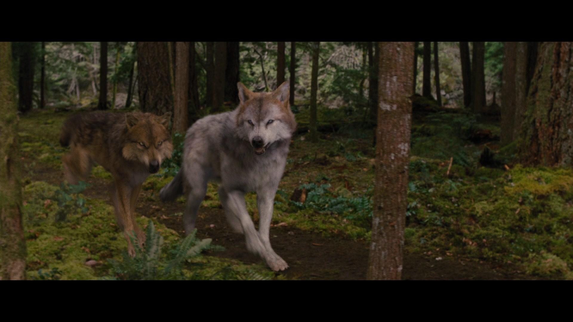 Фильм Сумерки. Сага. Рассвет: Часть 2 (2012)