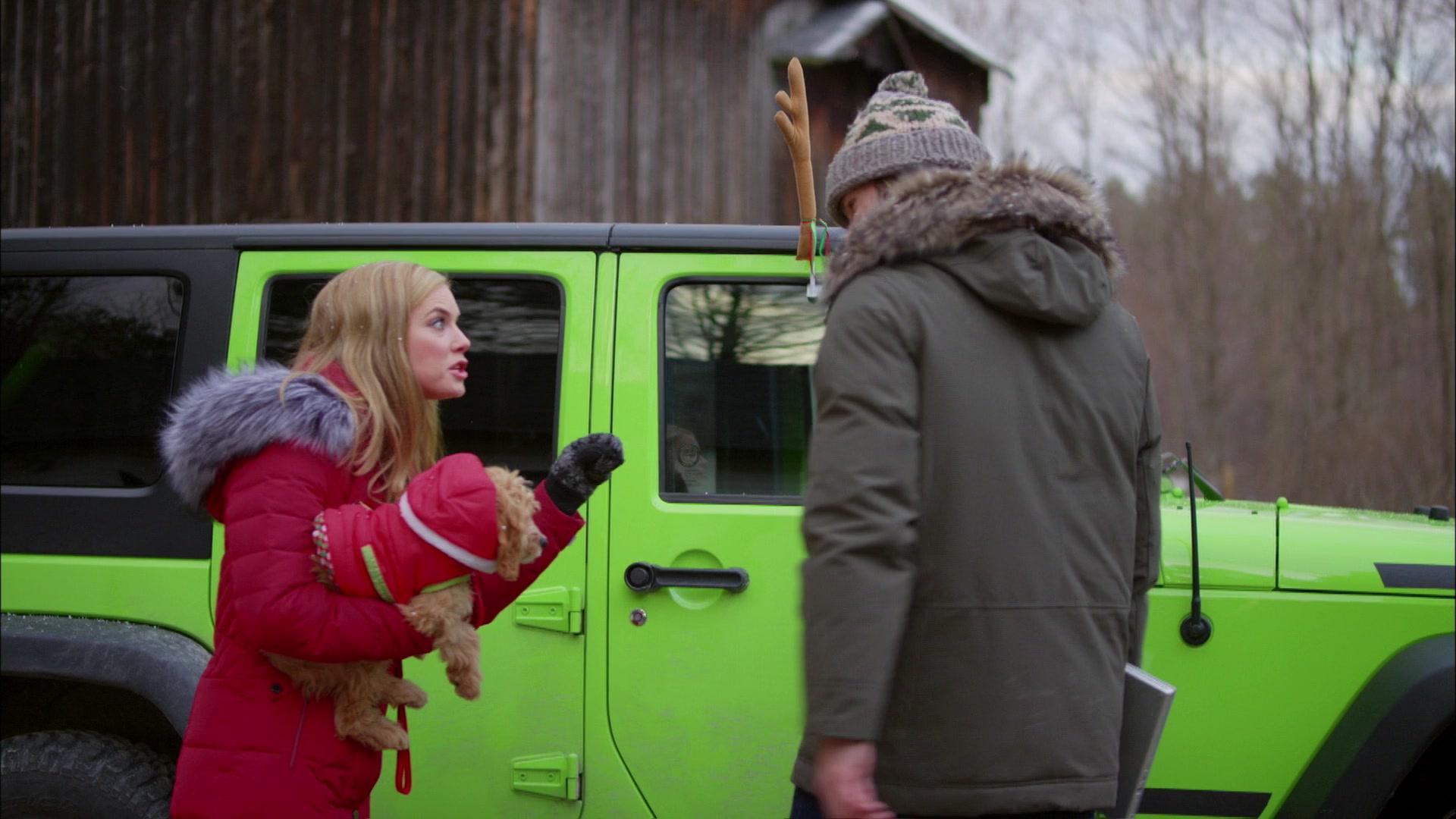 Фильм Щенок на Рождество (2016)