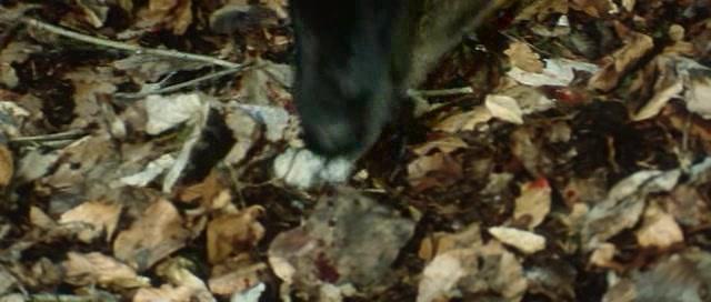 Фильм Схватка (2005)