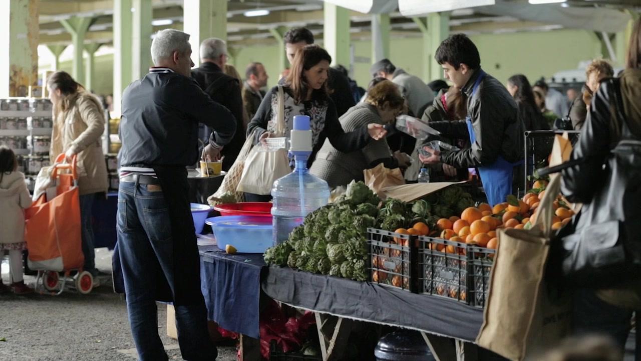 Фильм Город кошек (2016)