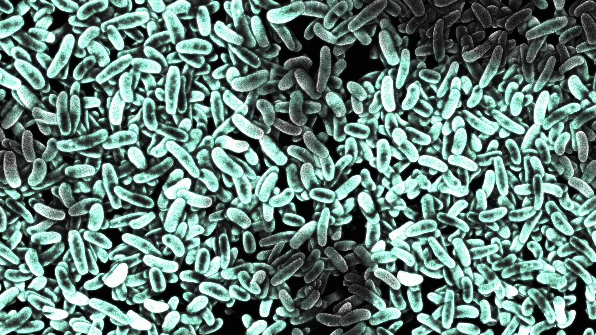 Фильм Живой свет с Дэвидом Аттенборо (2016)