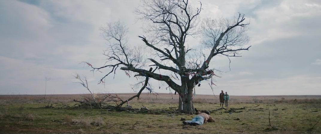 Фильм Там, куда падают тени (2016)