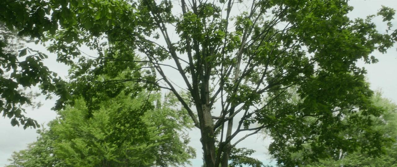 Фильм Лес из шерсти и стали (2018)