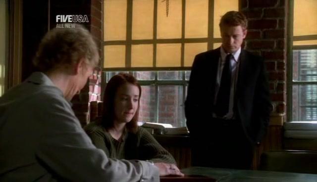 Сериал Защитник (2001) 2 сезон 10 эпизод